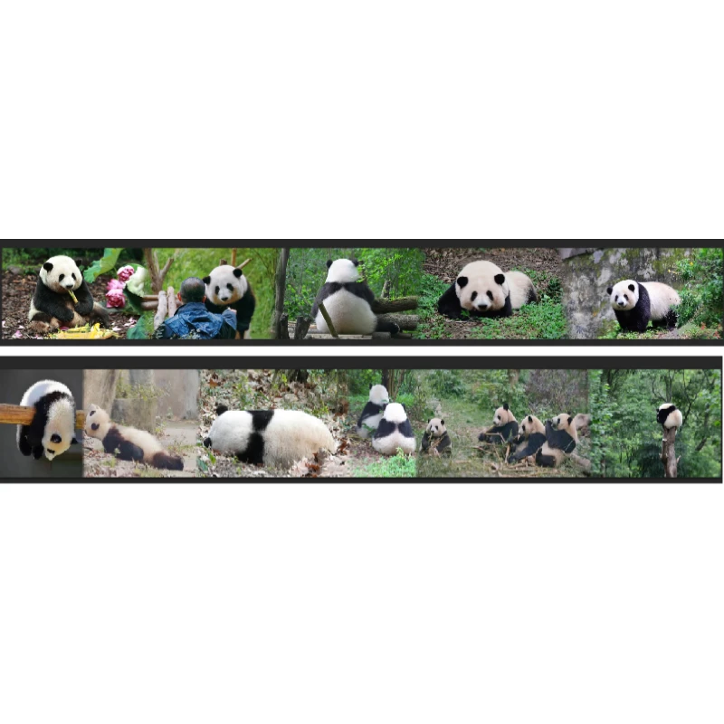 【CZ-长窄针吸系列】十字绣2025新款小件线绣客厅动物