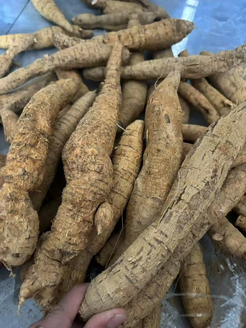 （直播用）深山新鲜牛大力煲汤泡酒煮水料