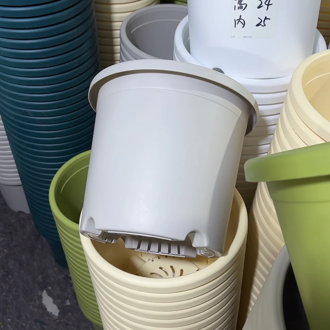 微瑕5号6个无托，灰白