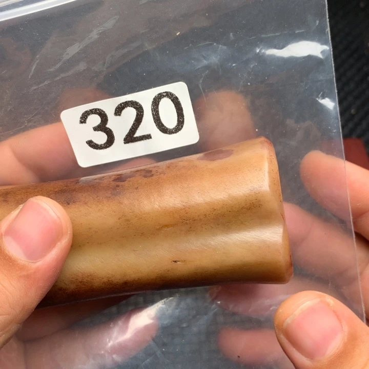 大果紫檀（缅甸花梨）