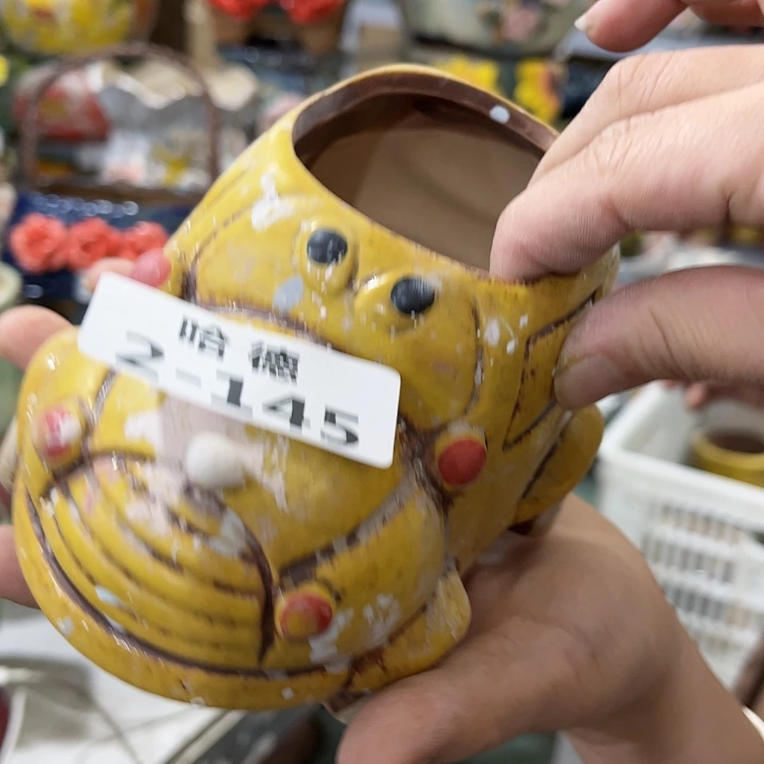 【闪购商品】红陶2145