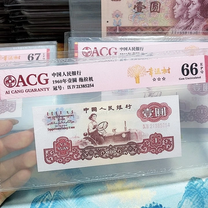 21385254。。。。。。幸运树