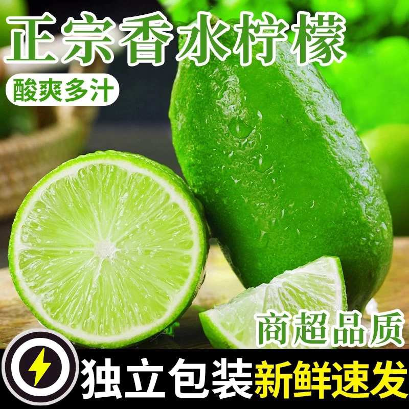 广东香水柠檬新鲜一级应当季水果正宗海南无籽青柠檬奶茶店专用10