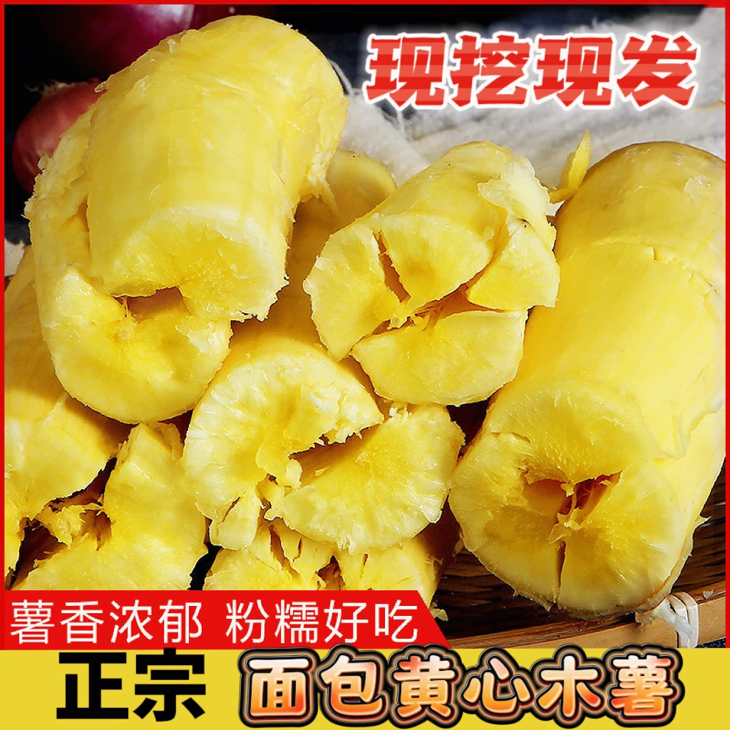 广西正宗 灵山黄肉木薯  黄心木薯糖水粉糯 新鲜现挖