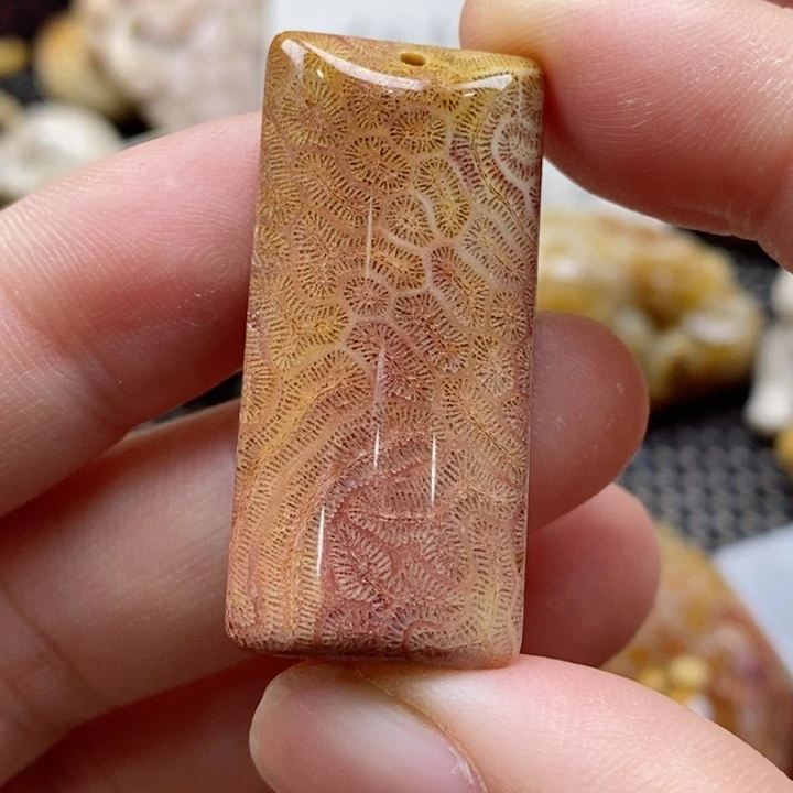 硅化珊瑚（珊瑚玉）颈饰未镶嵌