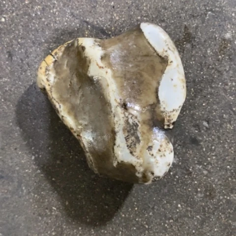 未镶嵌和田玉（糖玉）挂件