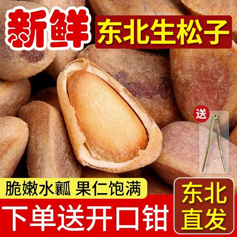 东北红松特大颗粒原味生松子新鲜饱满