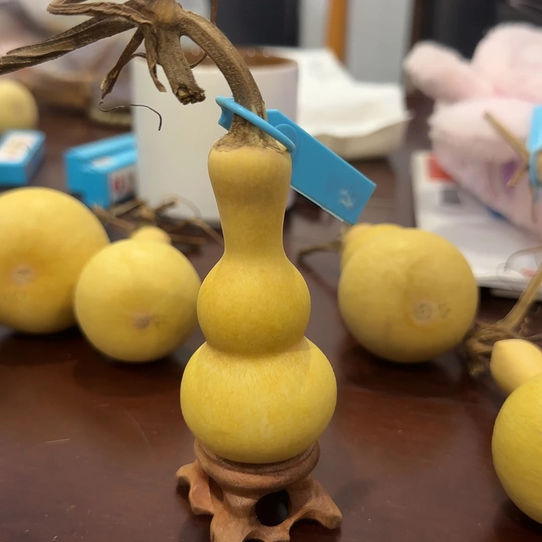 青皮不包成青皮不包成