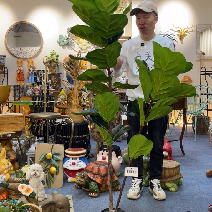 哈哈哈哈哈哈哈哈哈哈绿植