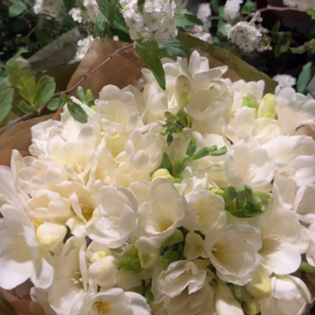 植物精油-纯精油