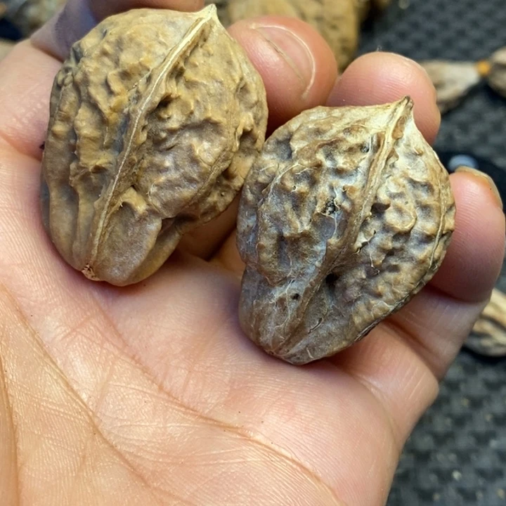 吊坠文玩核桃娜姐147