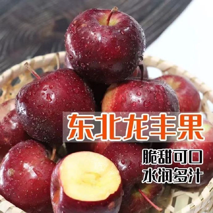 东北特产龙丰果大秋果新鲜采摘酸甜可口果味十足果园直发