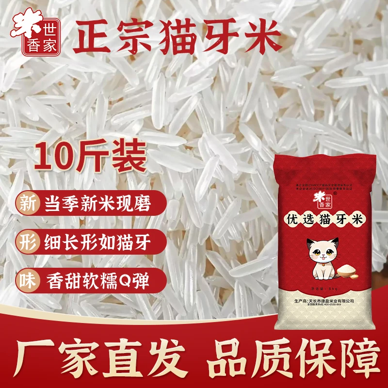 （试吃一斤）新米10斤农家猫牙米丝苗米大米长粒香米不好吃包退