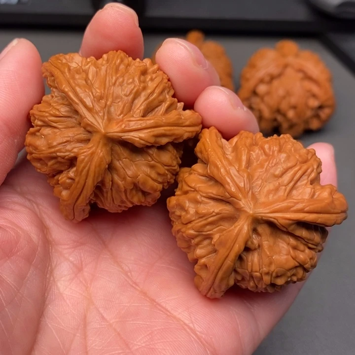 北***子木质类核桃核桃核桃