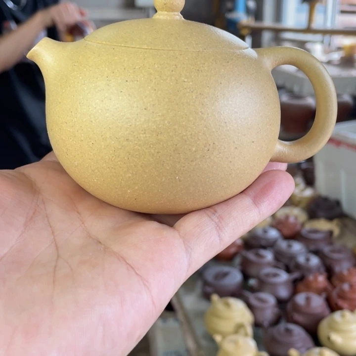 紫砂紫砂西施。 本绿（微暇