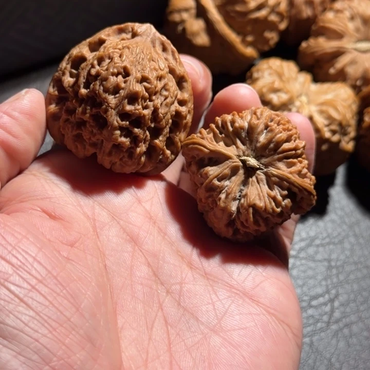 柿***了核桃红皮全品南疆