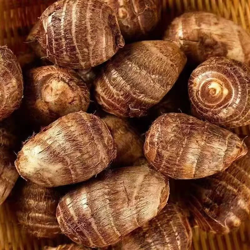 2025年山东现挖助力奶香奶白芋头正宗香芋香软糯粉黄辣丁江西菜