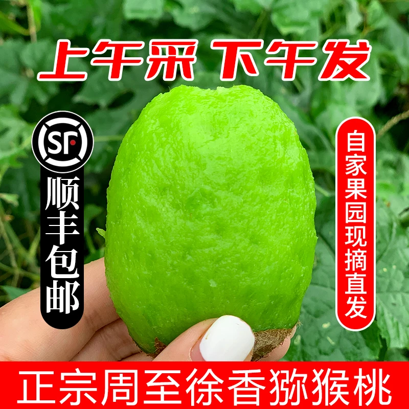 【顺丰现货】陕西正宗周至徐香猕猴桃绿心新鲜软糯香甜细腻现摘现发