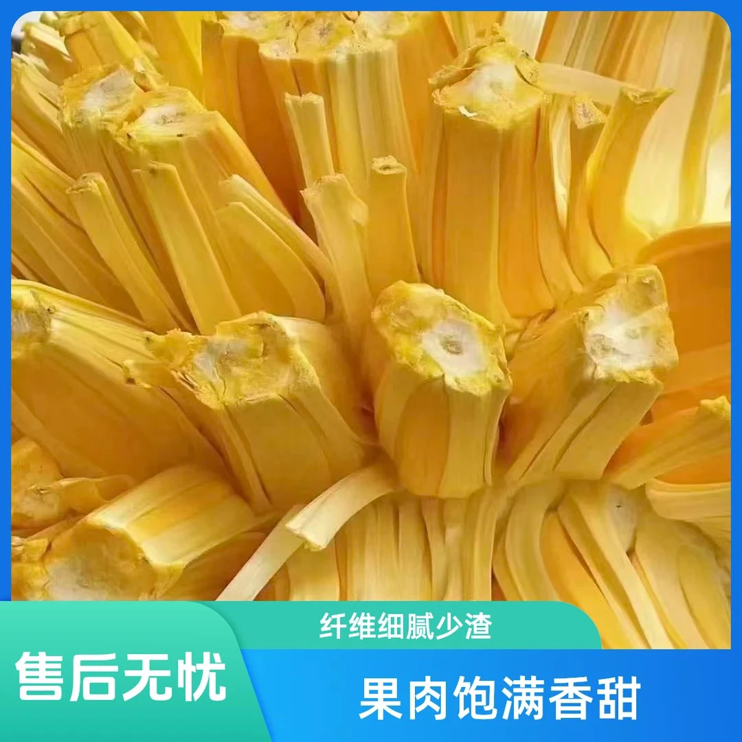 【明天到】AA越南进口越南红黄肉菠萝蜜5-12斤净重口感脆爽顺丰包邮送货上门红肉菠萝蜜越南社会主义共和国