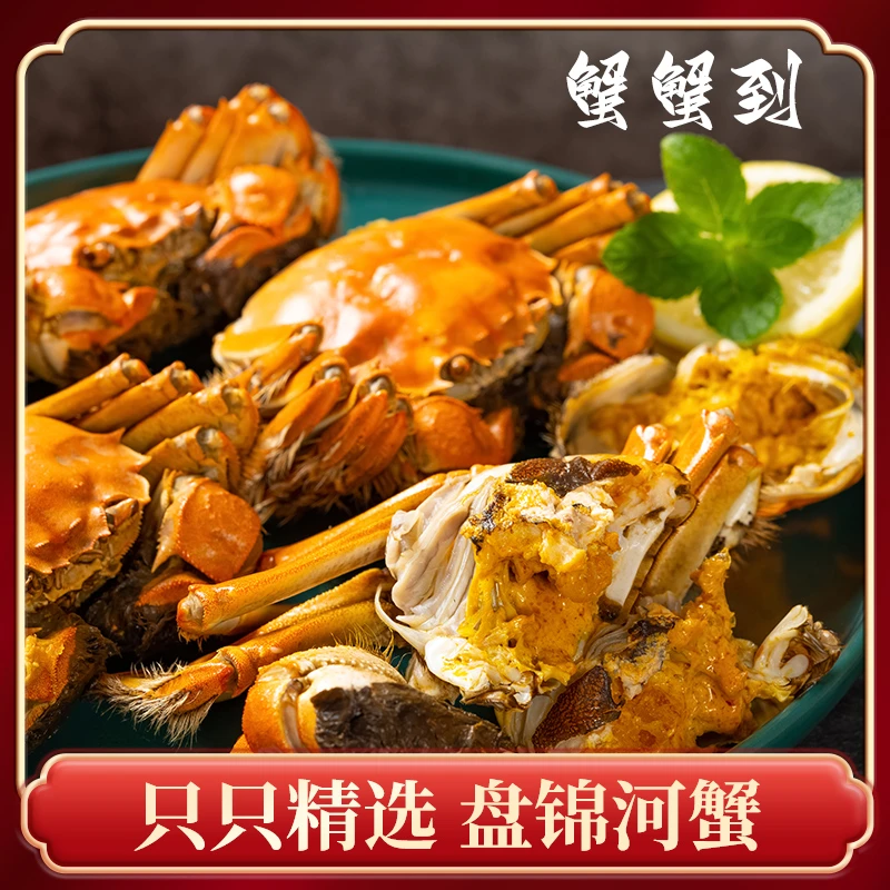 【活蟹】盘锦河蟹母蟹2斤（1.6-1.4两）稻田母蟹（15-13只）顺丰包邮