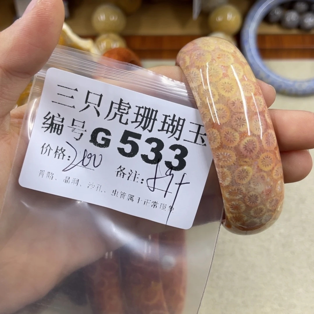斐***硅化珊瑚（珊瑚玉）未镶嵌h