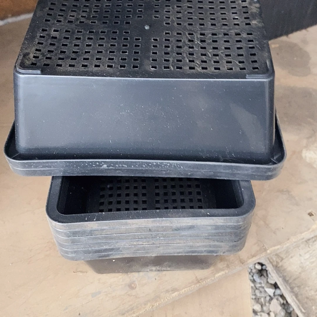 塑料新育苗盆迷你款 10个 黑色