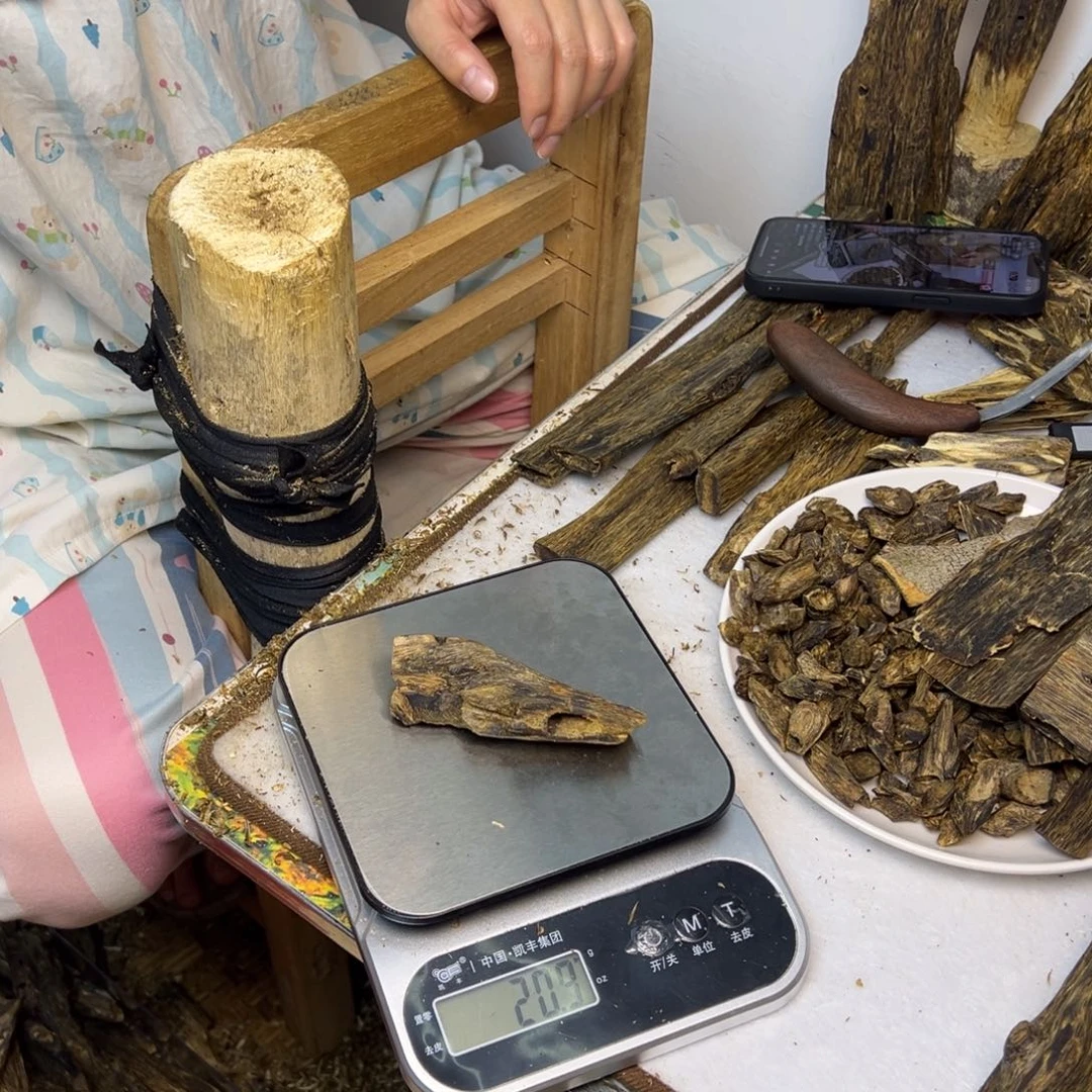 线香奇楠虫漏香20克