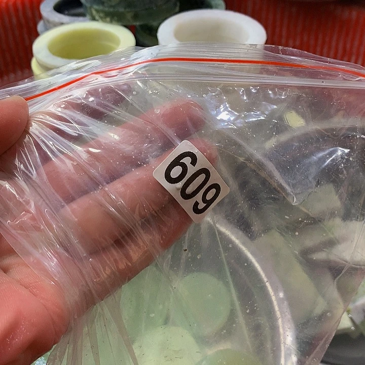 老***民蛇纹石玉未镶嵌手镯