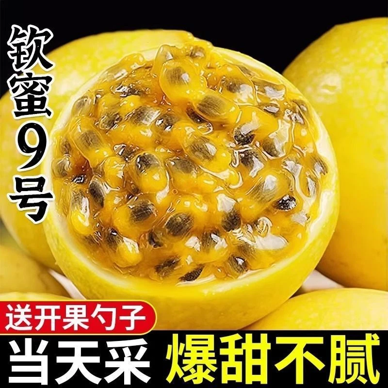 正宗产地广西钦蜜9号百香果新鲜现摘当季水果多汁香甜
