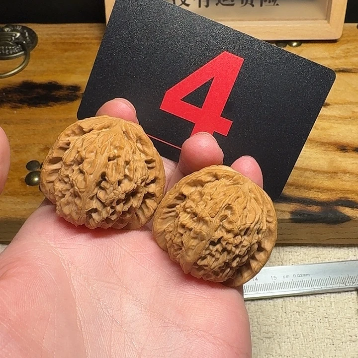 文玩麻核桃40尺寸白狮子