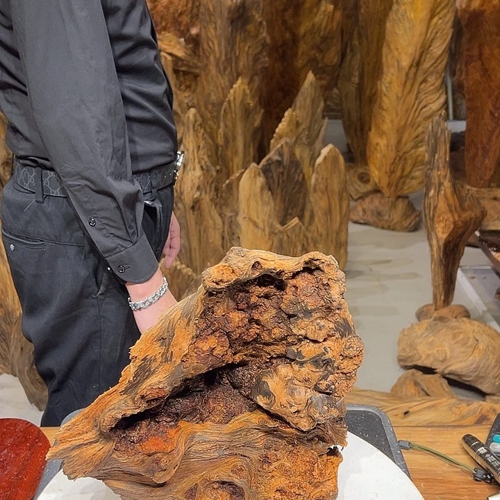 松木（琥珀木）敏钱我