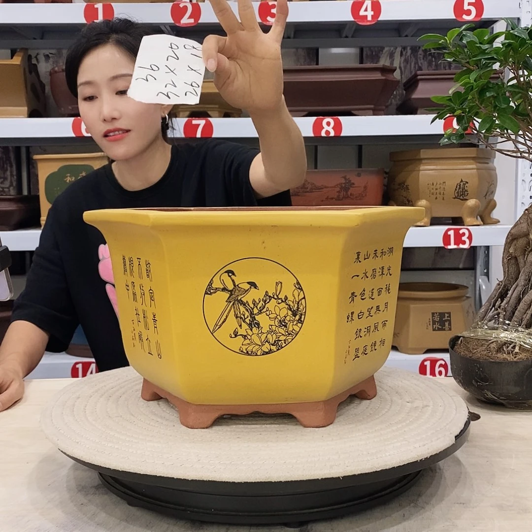 紫砂花盆紫砂花盆