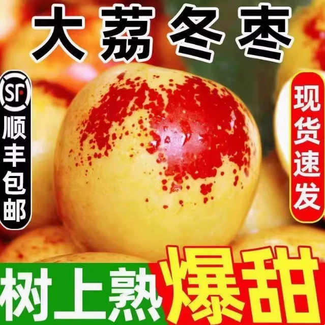 正宗陕西大荔冬枣新鲜大枣特大脆甜冬枣新鲜水果顺丰整箱包邮