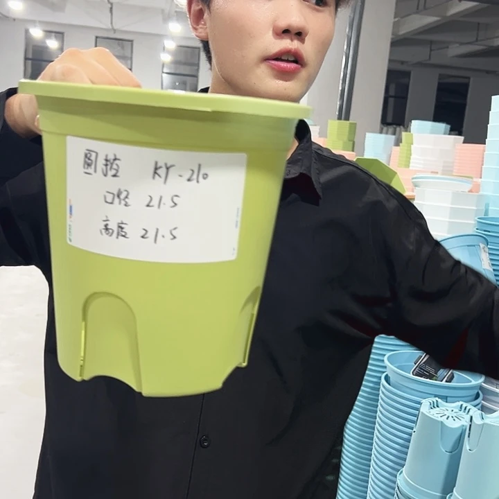 特价圆控口21高21果绿色5只无托