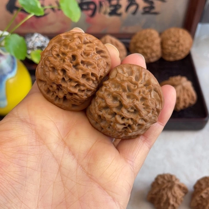 核桃秦岭山脉秦闷原庄山地果