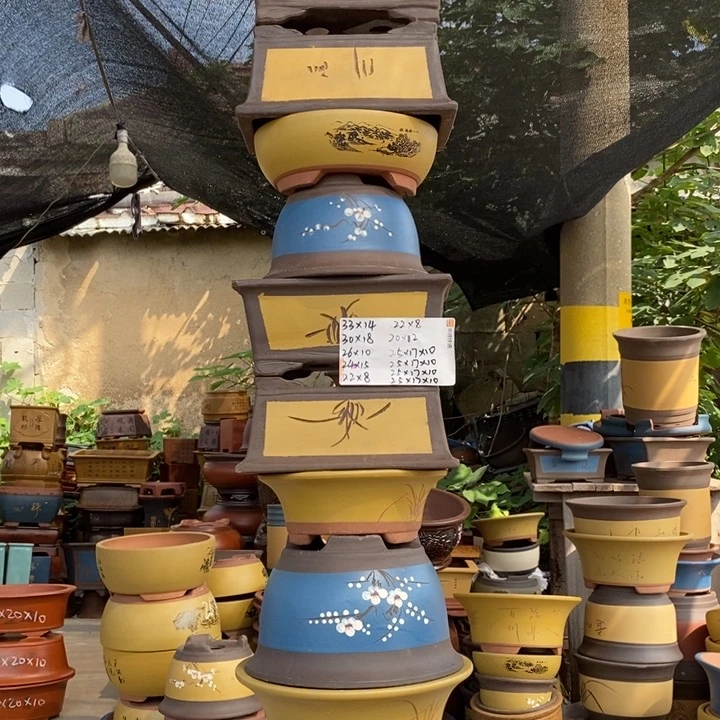 紫砂花盆这个世界上最好的朋友