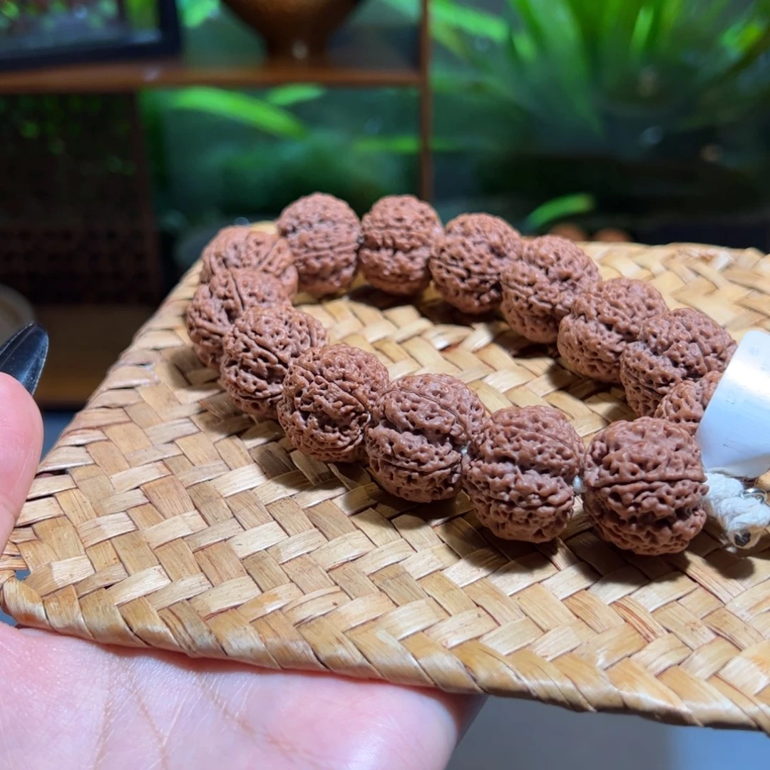 吊坠金刚菩提梁肉肉梅花22mm大金刚
