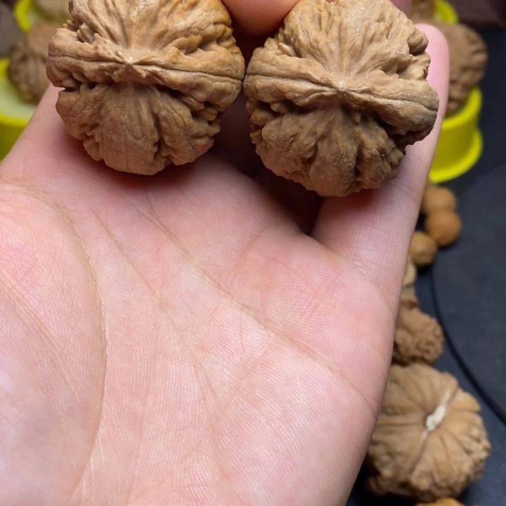 手串/手链核桃37尺霸王龙