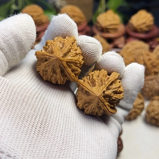 9***7核桃三棱鸡心文玩核桃