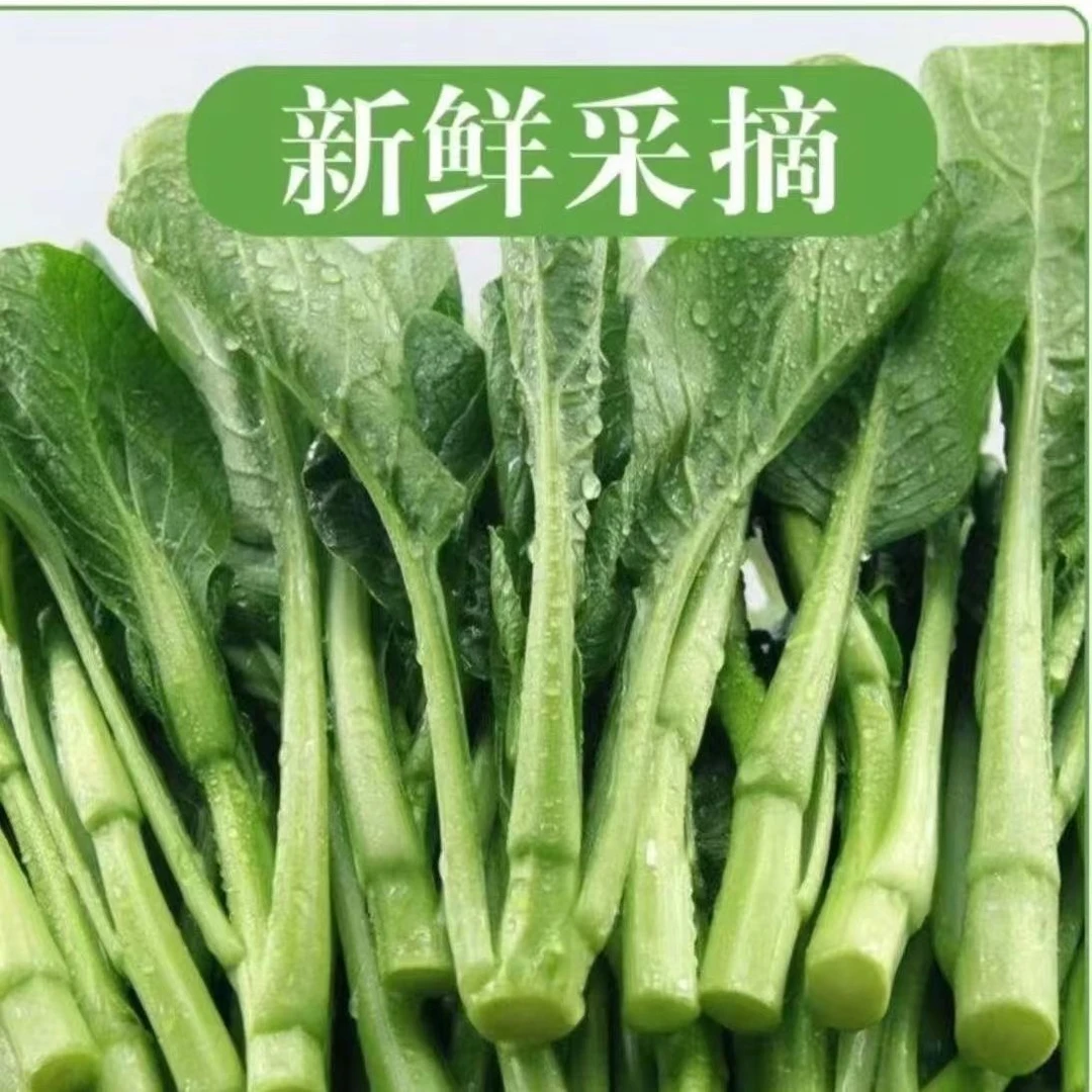 新鲜甜菜心农家种植露天新鲜现摘现发