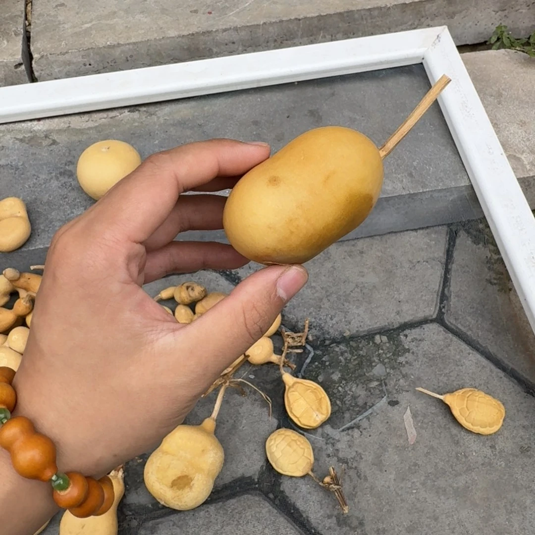 劉****2222222222222222222