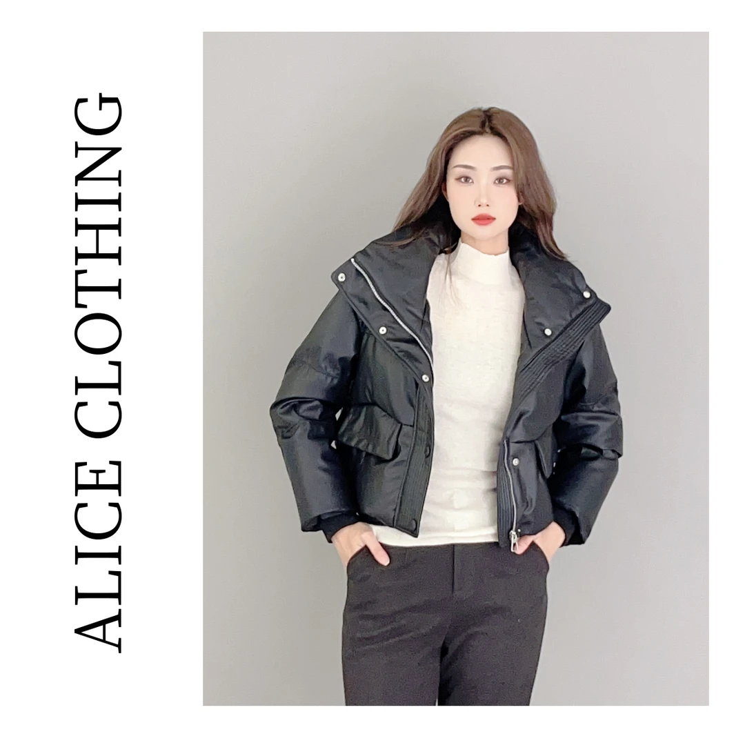 2【ALICE “灵巧小个子”羽绒服】保暖立领 时尚百搭 S2134977K