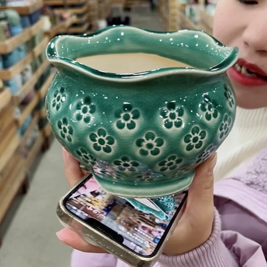 红陶花盆里还有几棵树上