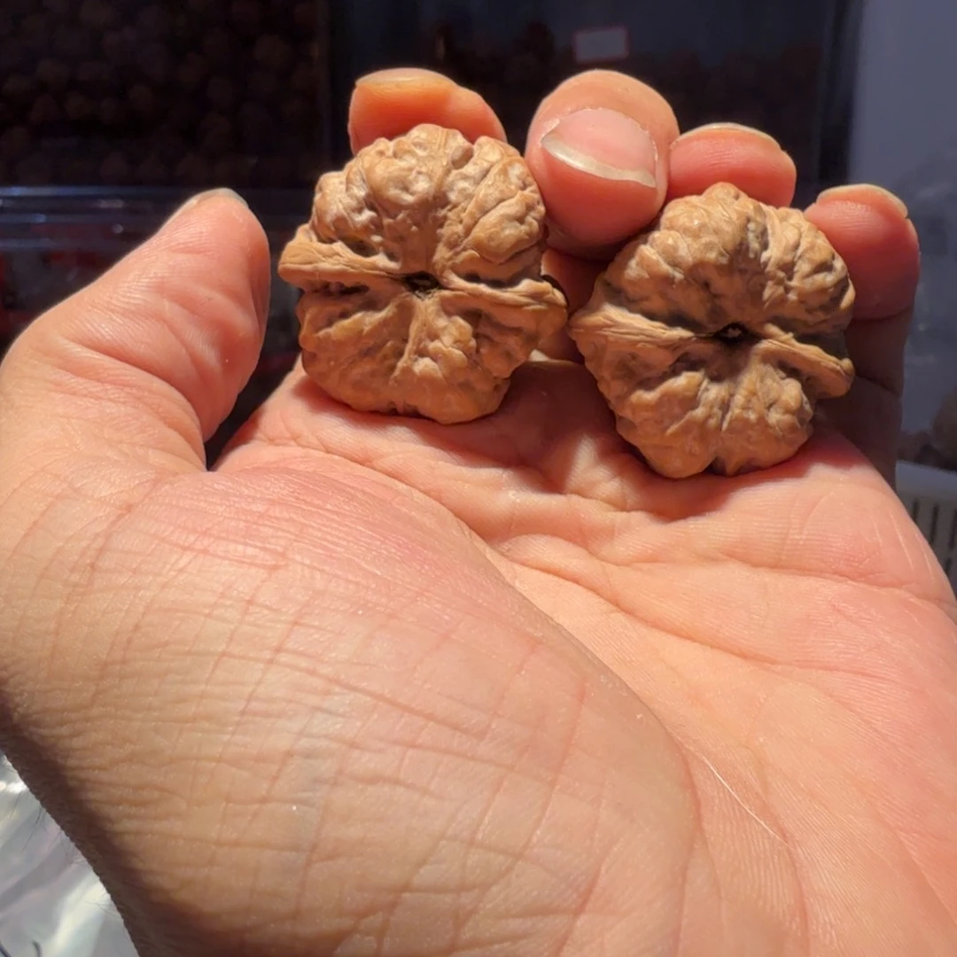 .***.核桃手串/手链蛤蟆