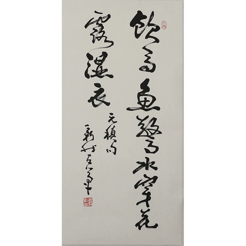 A202 费新我书法软片 49m×100cm