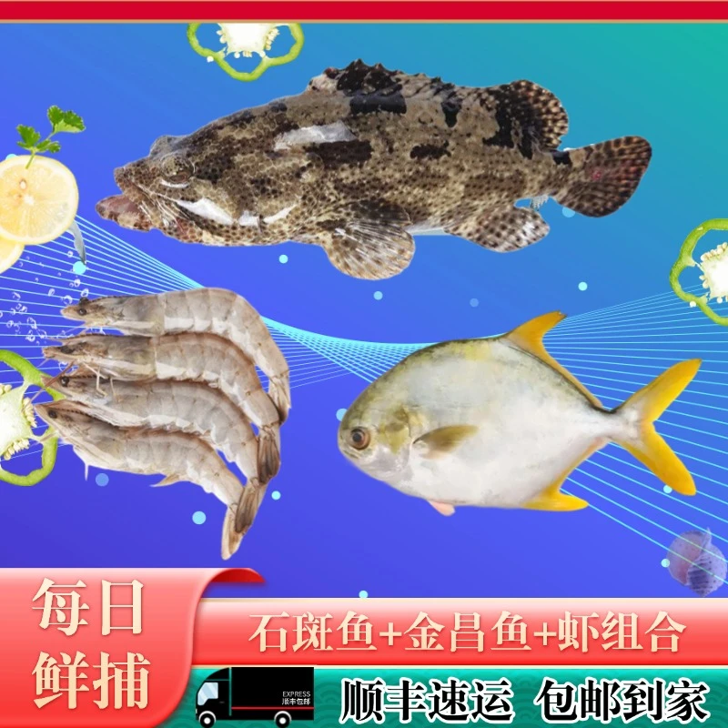【龙胆石斑鱼*2+金鲳鱼*2+白虾】深海鱼生鲜水产海鲜鲜活水产品美食