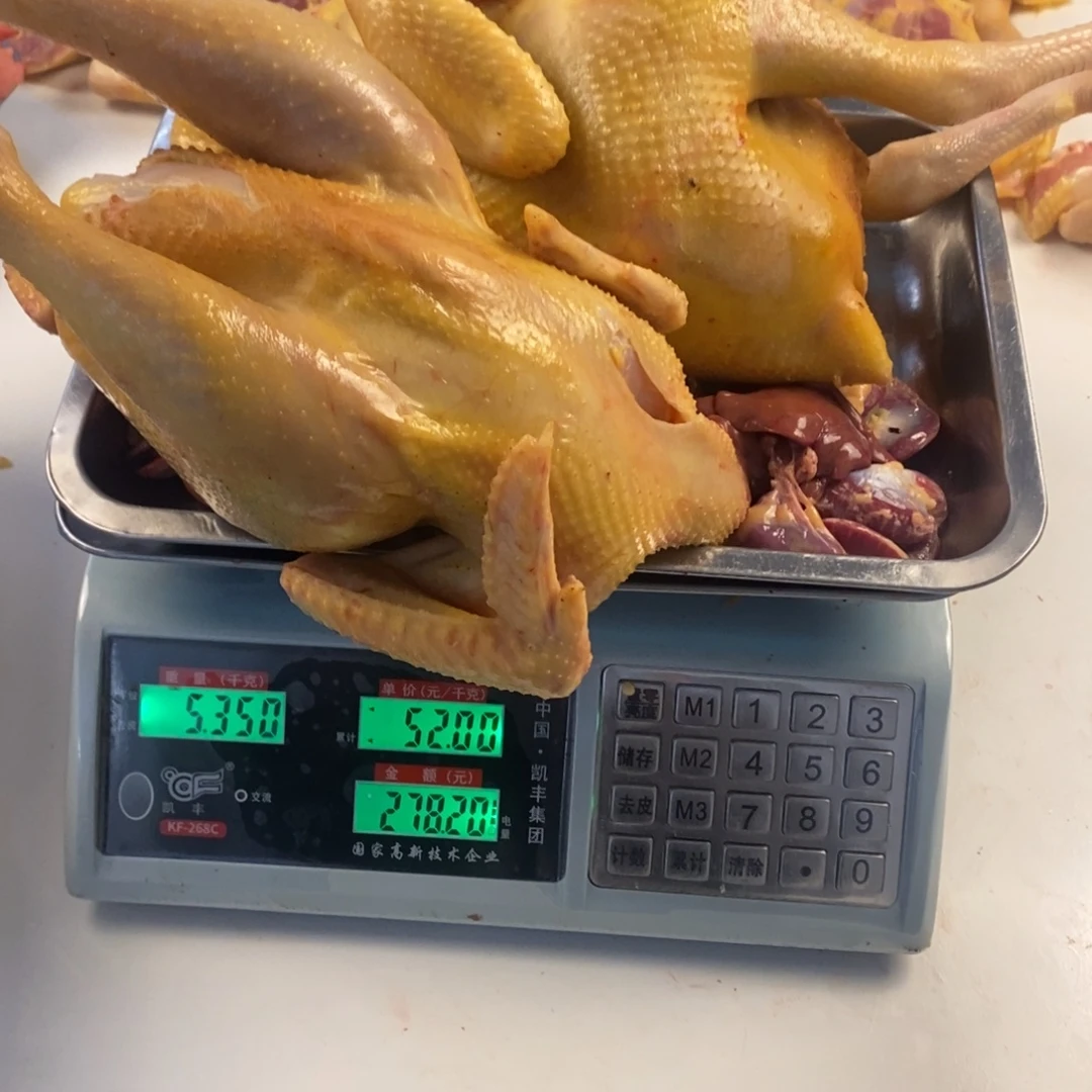 凳***子30天中国大陆包装整鸡245