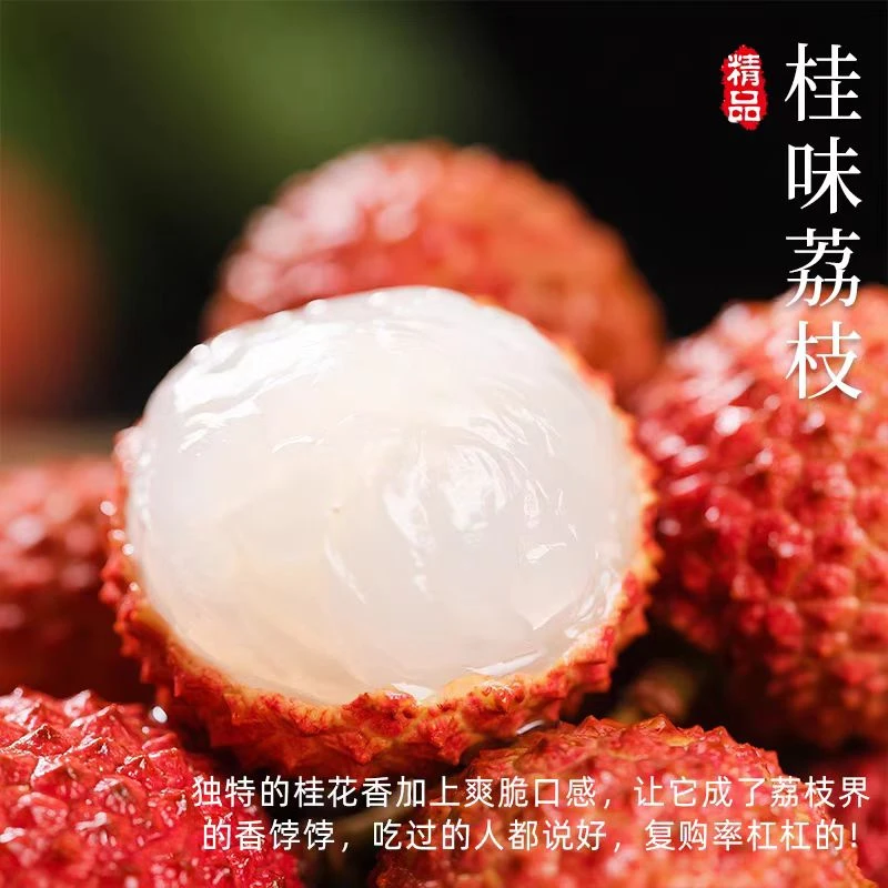 广东桂味荔枝老树品质新鲜现摘爆汁冷链发货