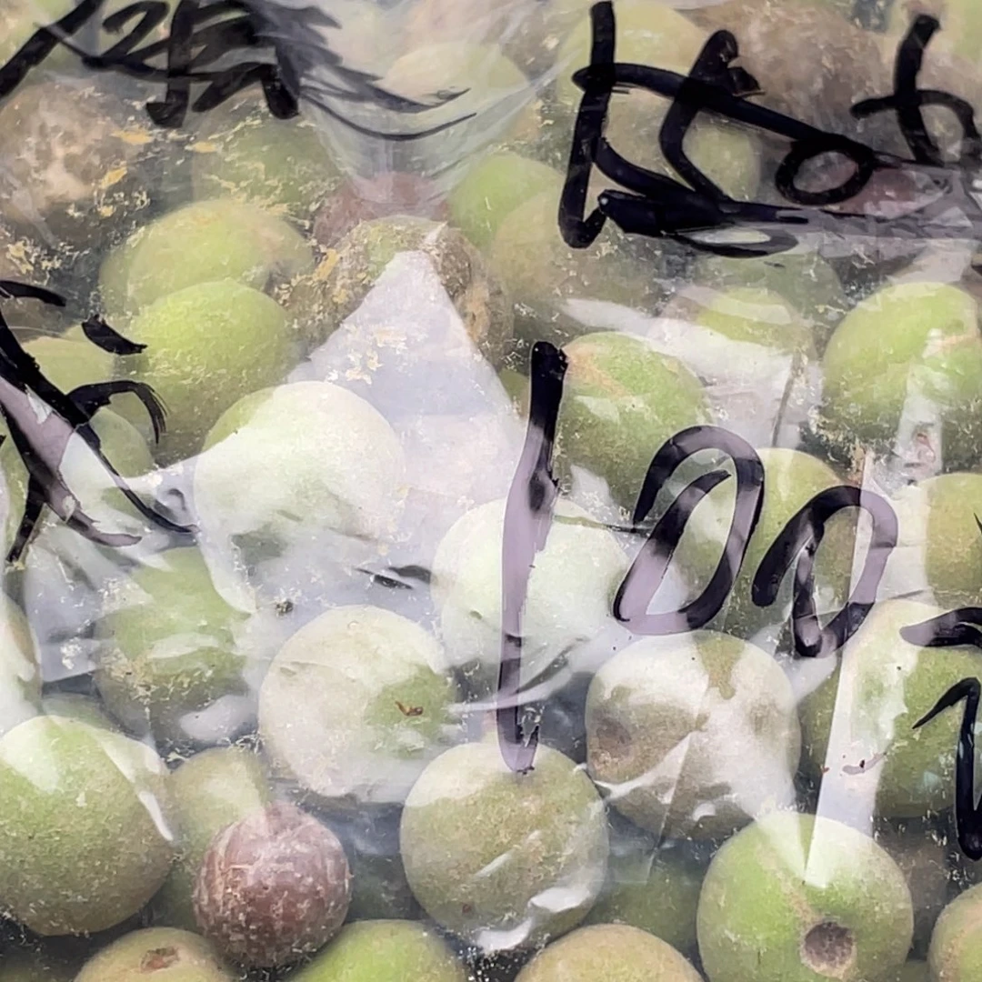 【闪购商品】核桃其他大****店青皮发货不退不换100