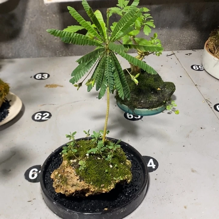 潘***拉完全开放退款拉黑一物一拍389